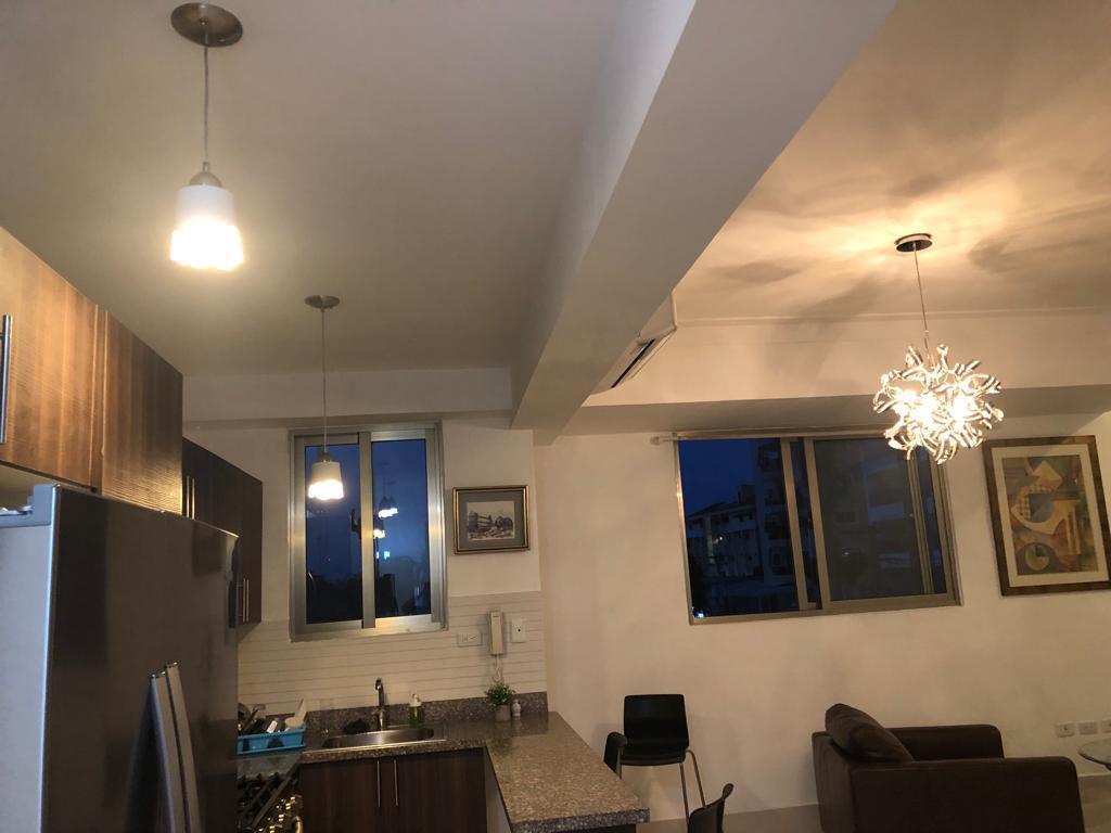 apartamentos - Piso 3 Amueblado Full En Naco de 1 Habitacion 8