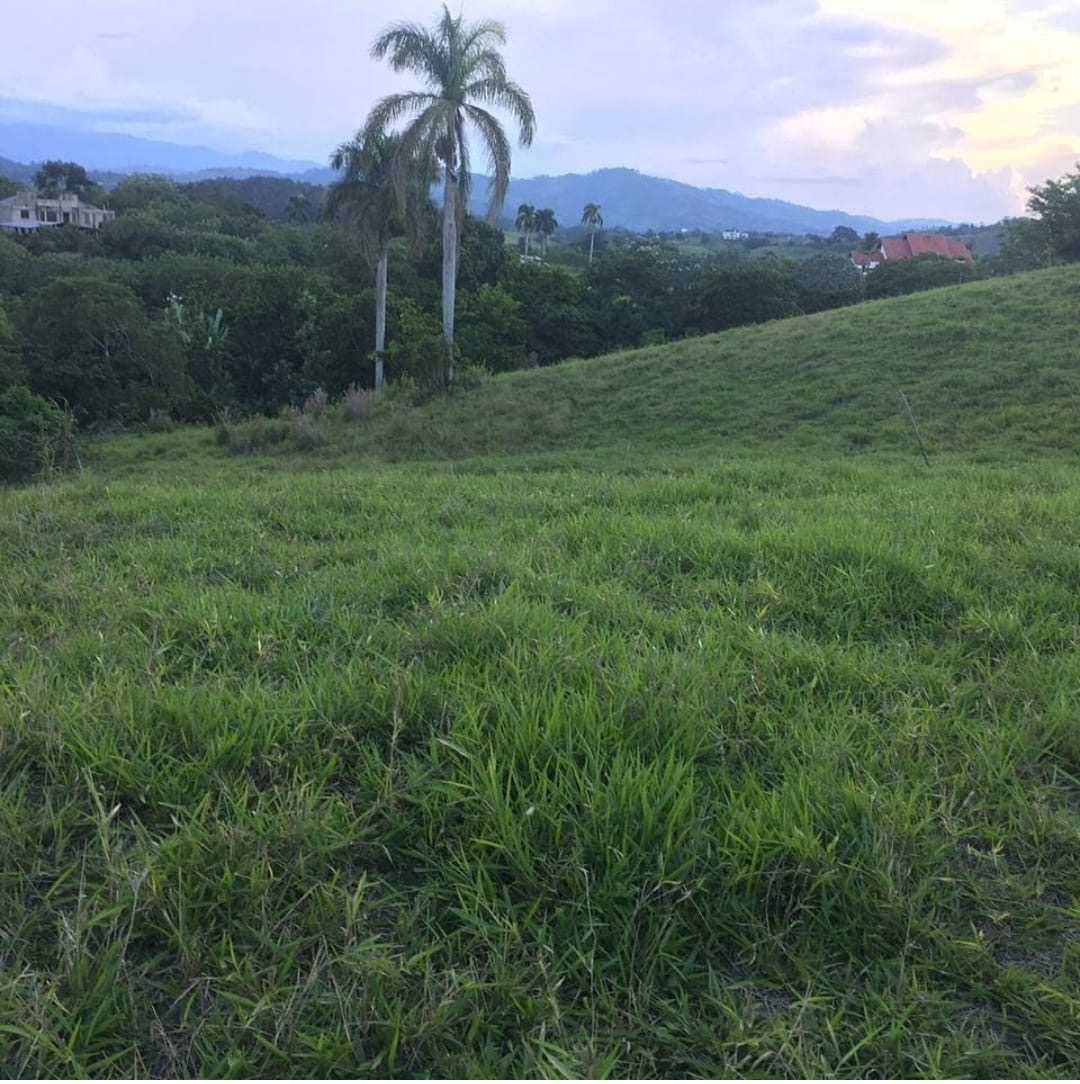 solares y terrenos - terreno en jarabacoa  1