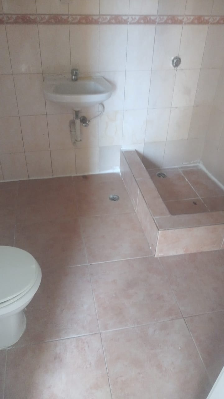 apartamentos - Apartamentos en alquiler 2