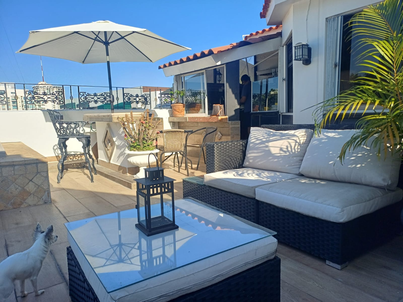 apartamentos - Alquiler de Apartamento en bella vista  2