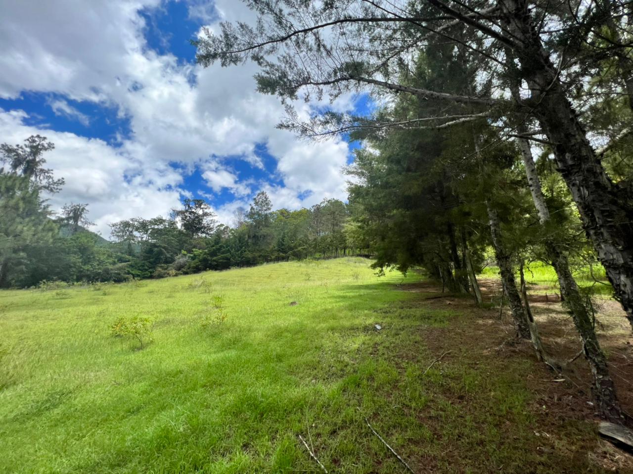 solares y terrenos - Vendo en Constanza varios terrenos 2