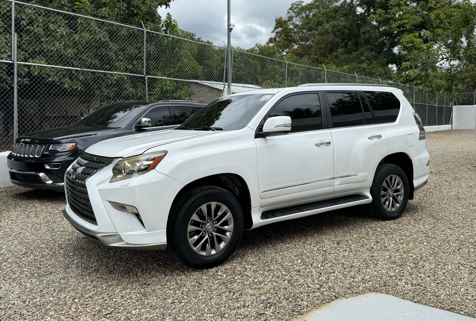 jeepetas y camionetas - lexus gs 460 2014 5