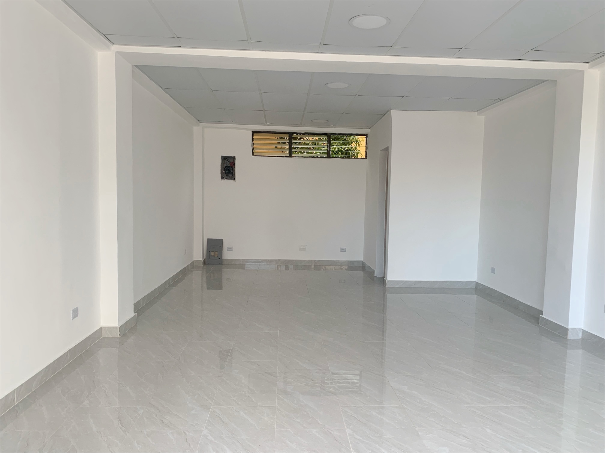 oficinas y locales comerciales - Local en Piantini 3