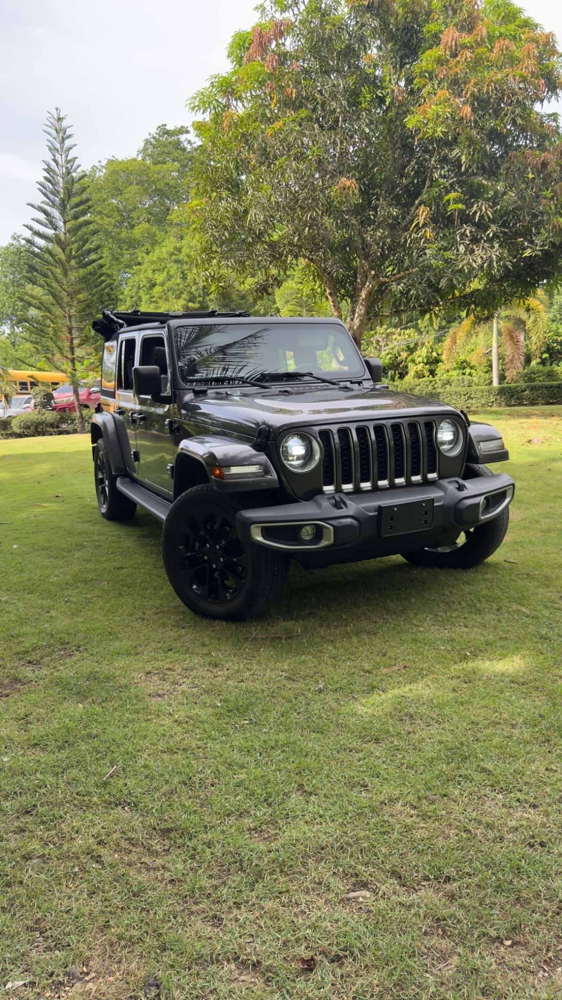 jeepetas y camionetas - Jeep  6