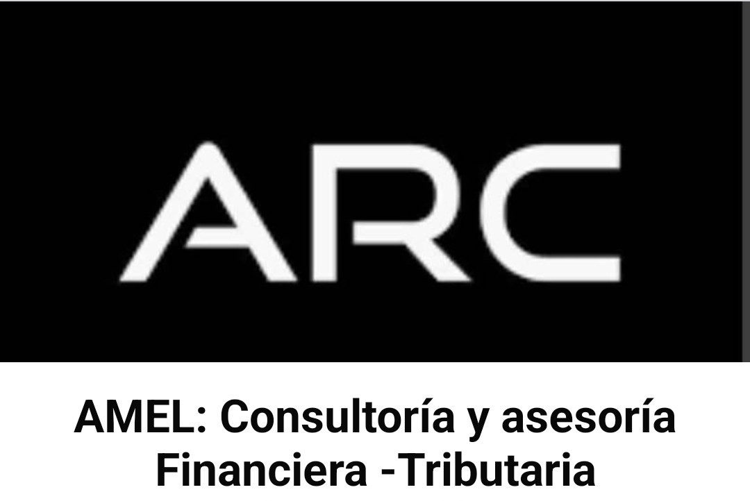 servicios profesionales - Servicios de Asesoría y consultoría Financiera y Contable