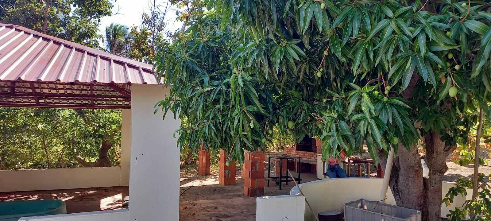 casas vacacionales y villas - Finca 10 tareas en Matanzas, Baní  4