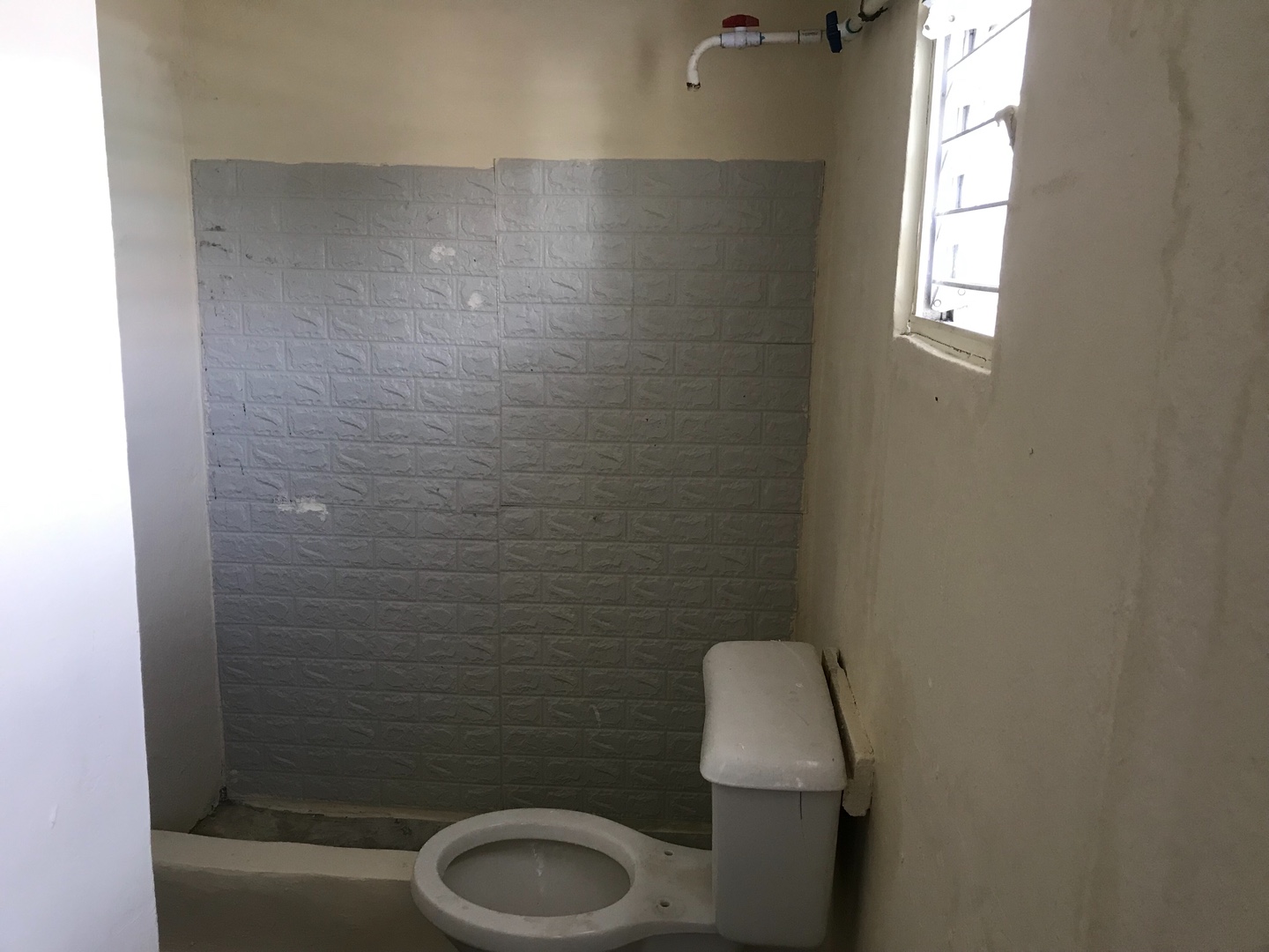 apartamentos - Vivienda de Alquiler  1