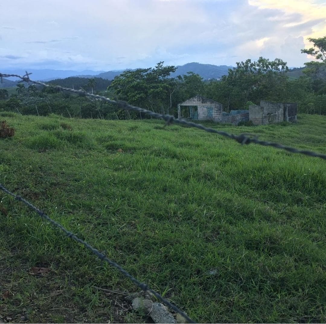 solares y terrenos - terreno en jarabacoa 