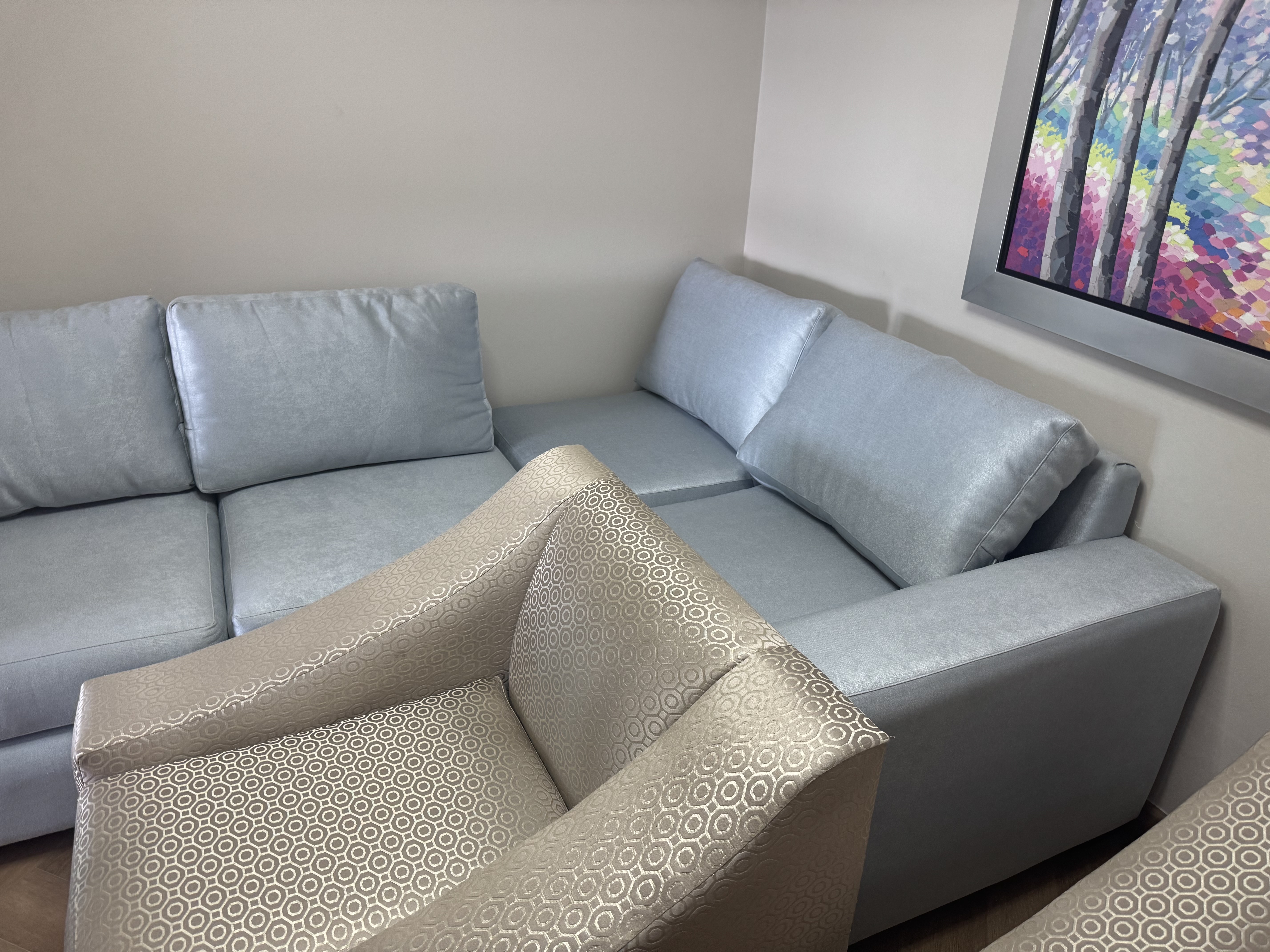 muebles y colchones - Juego Sala de Lujo, 4 Piezas 5