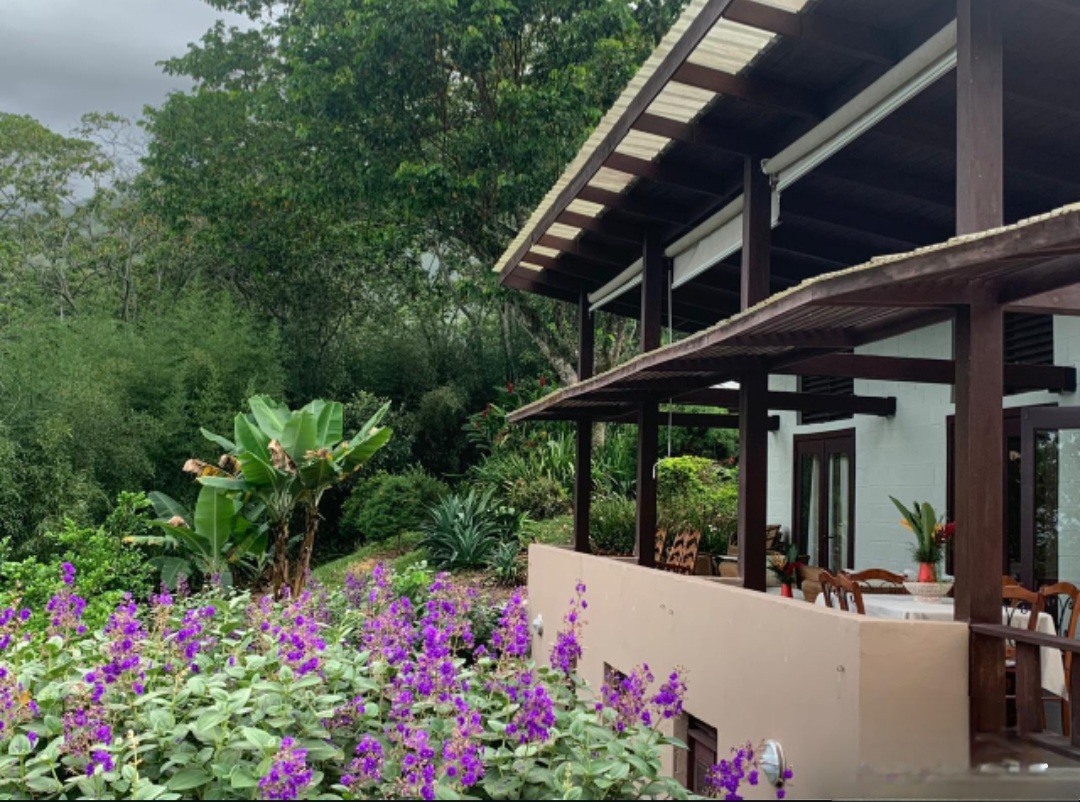 casas vacacionales y villas - Casa 3 hab 251M2 Blanco, Bonao. 2754M2 terreno 3