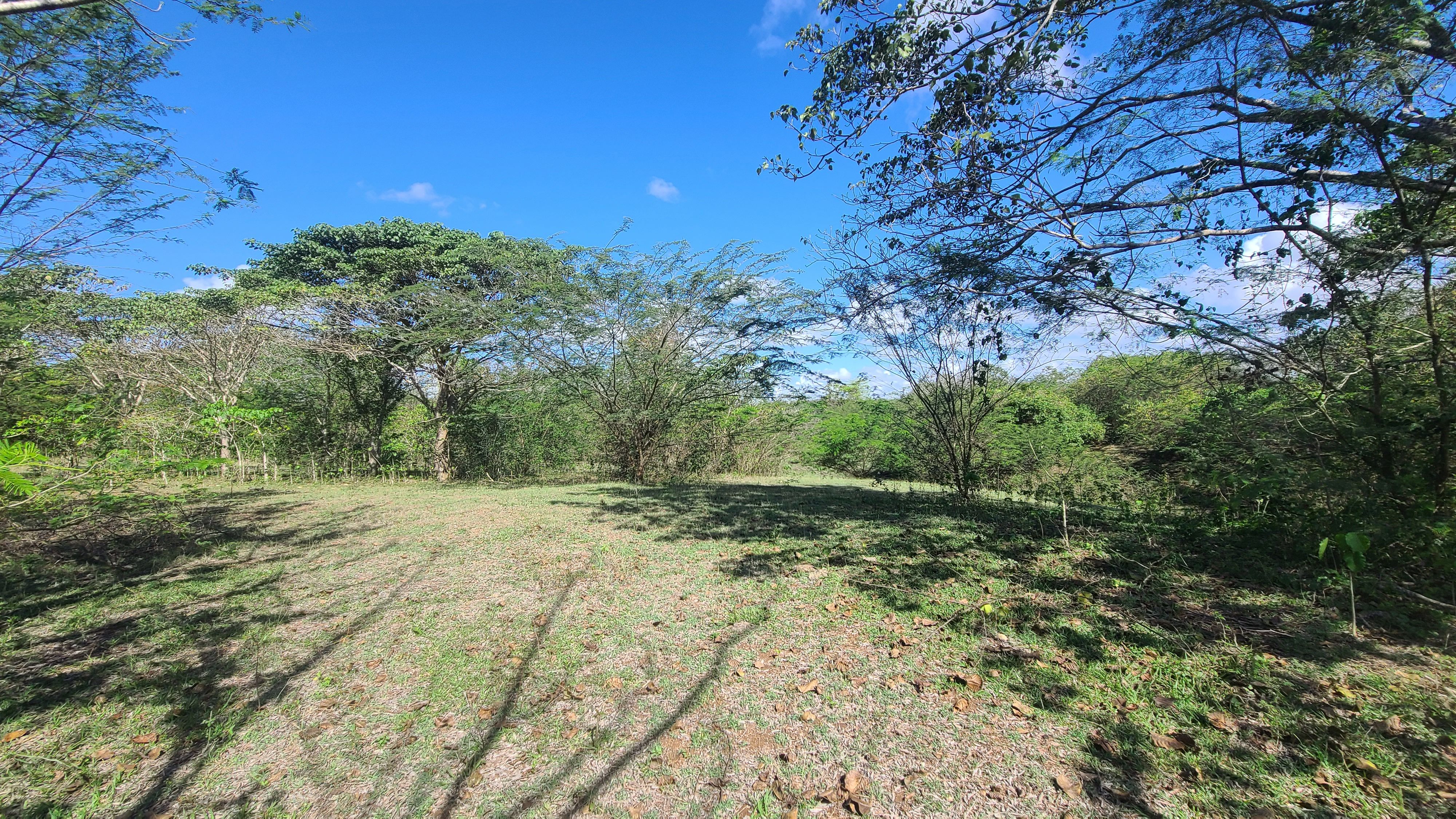 solares y terrenos - Terrenos en Venta, Quisqueya 8
