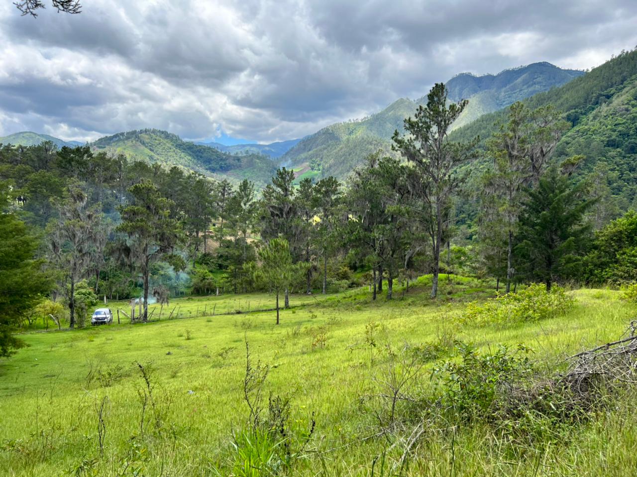 solares y terrenos - Vendo en Constanza varios terrenos 1