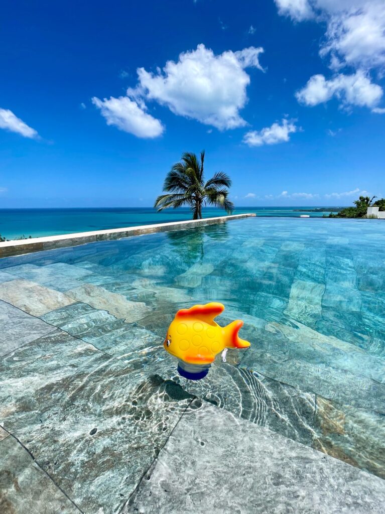 casas - 5072- VILLA PALMA EN LAS TERRENAS, SAMANÁ  4