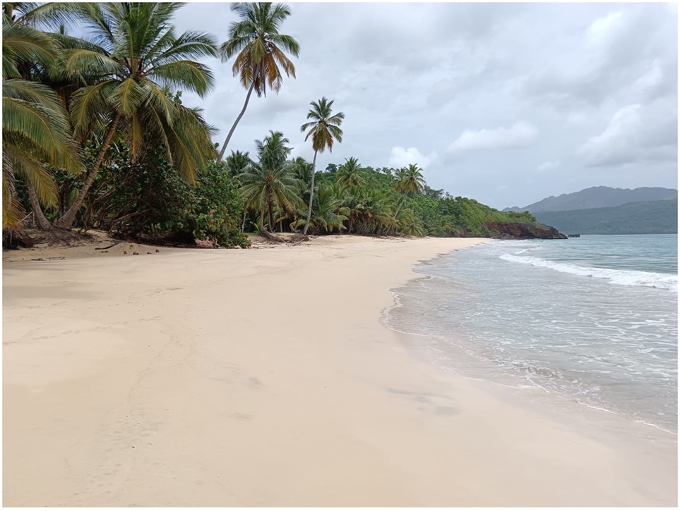 solares y terrenos - 700,OOO Mts.2, CON 230 METROS  LINEALES DE PLAYA en PLAYA RINCON, LAS TERRENAS  0