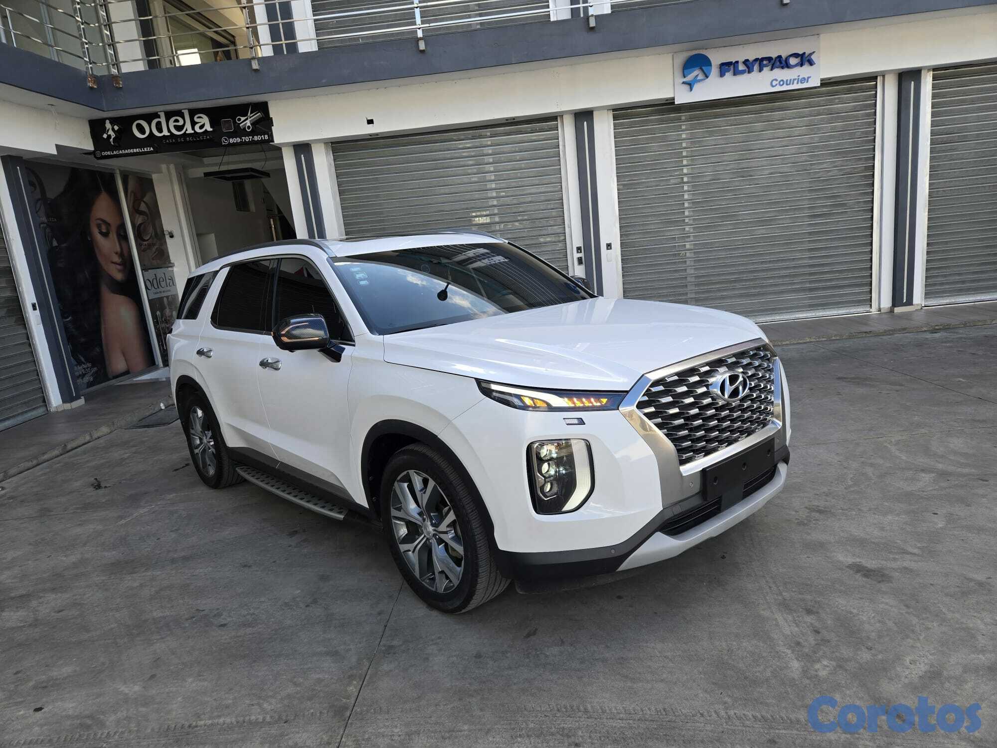 jeepetas y camionetas - HYUNDAI PALISADE 2019 BLANCA GASOLINA 17