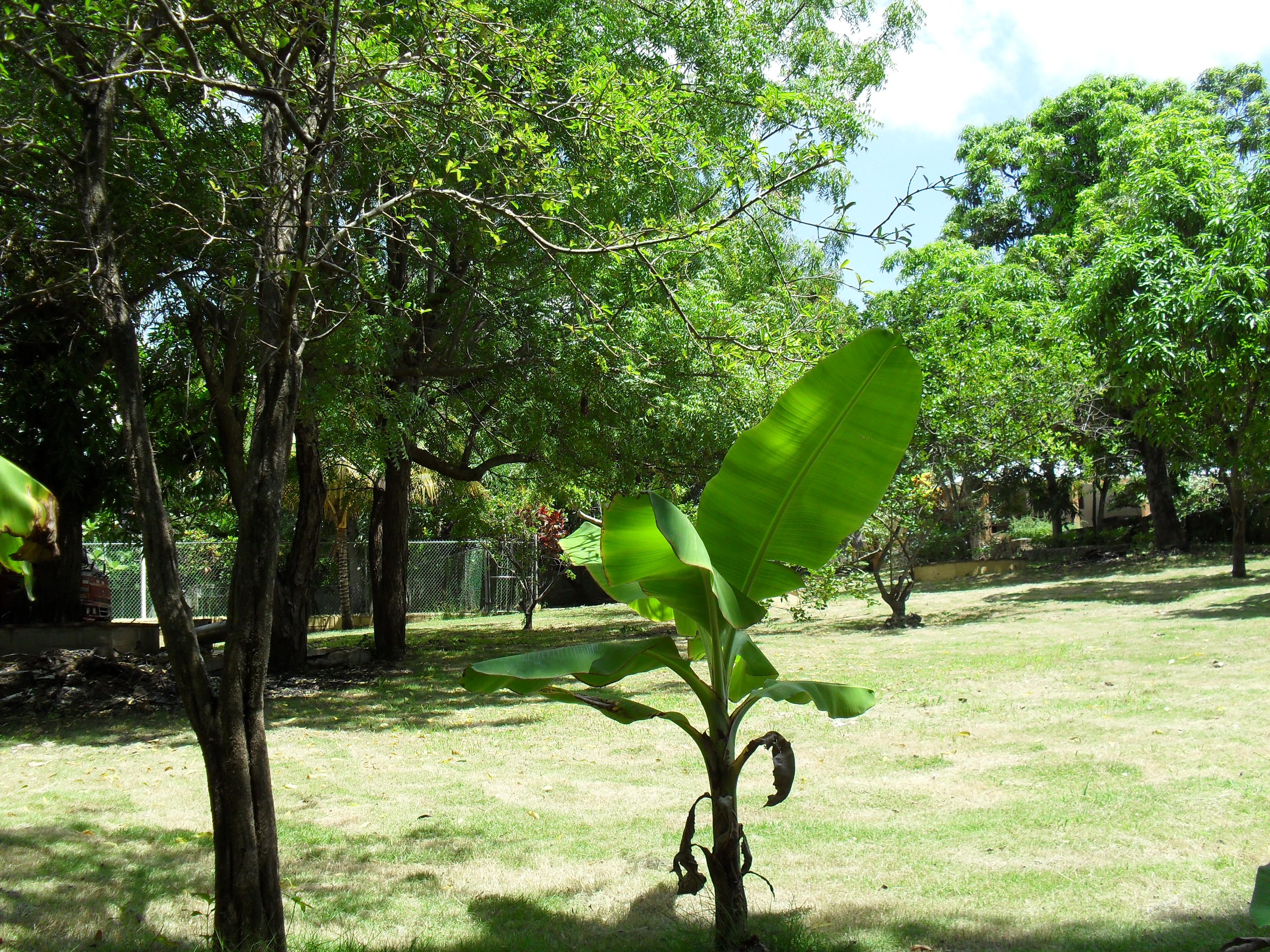 casas vacacionales y villas - FINCA CON CASA VERANEO EN LA COLONIA SAN CRISTOBAL 3