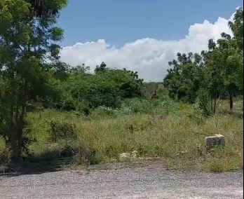 solares y terrenos - OPORTUNIDAD VENDO TERRENO EN LA ROMANA 1576,44 m2 0