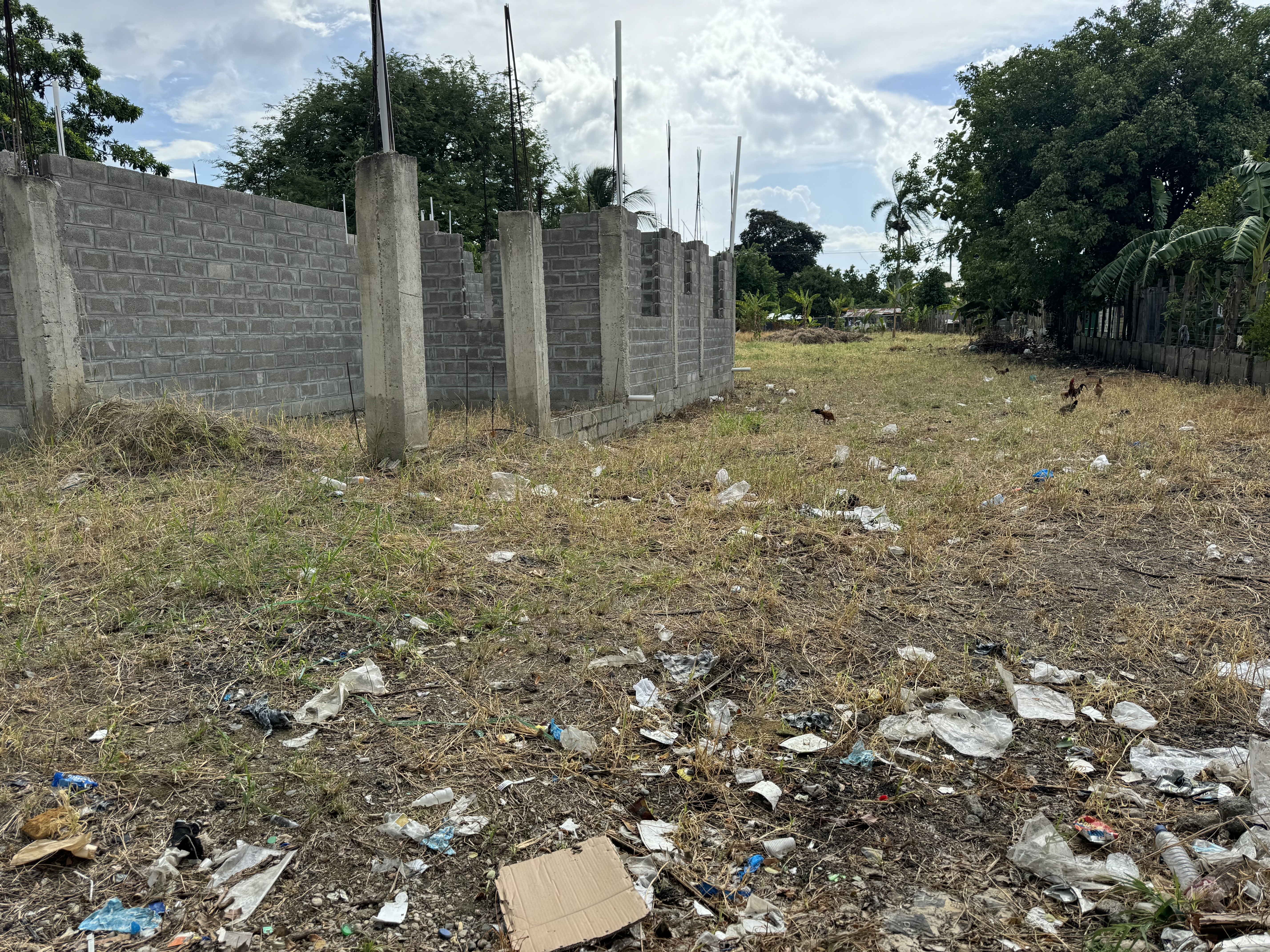 solares y terrenos - vendo hermoso terreno en monte adentro  6