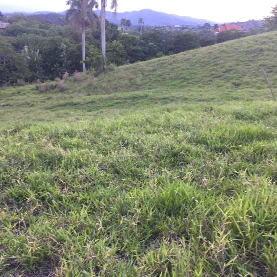 solares y terrenos - terreno en jarabacoa  2
