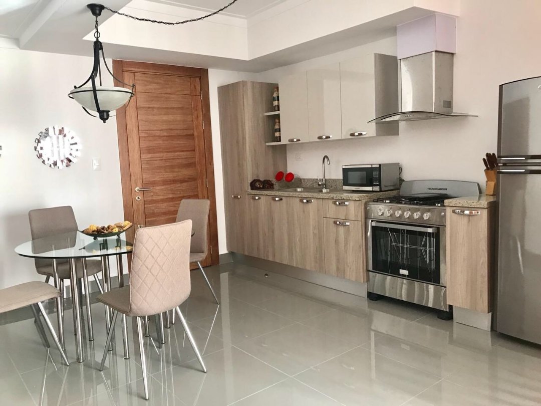 apartamentos - Apartamento totalmente amueblado Evaristo Morales 1