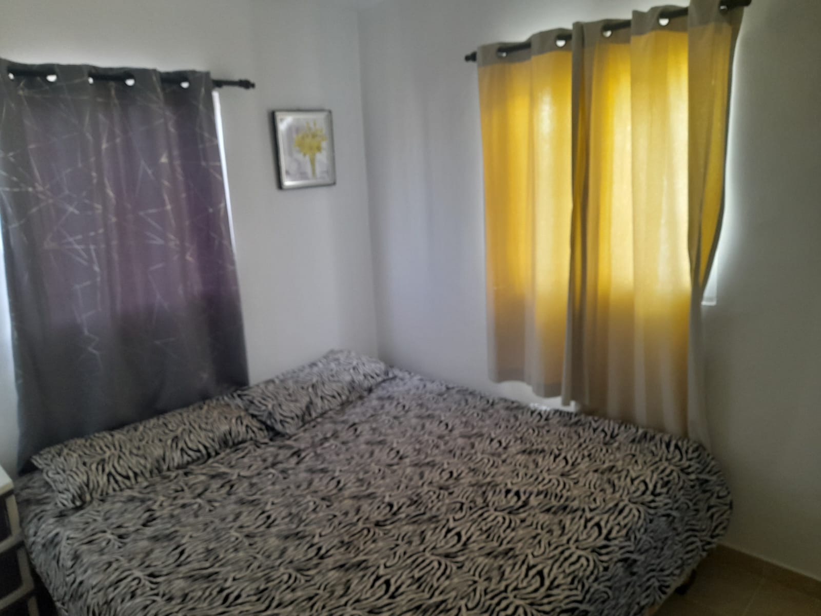 apartamentos - Apartamento en alquiler  0