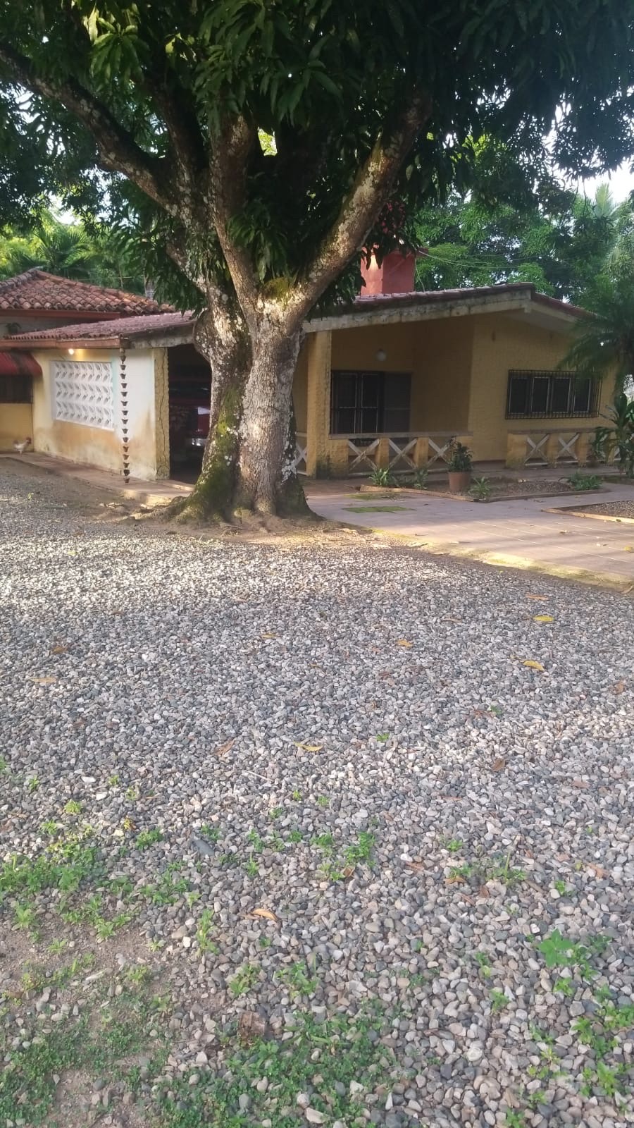 solares y terrenos - venta de Finca en guerra con 145 tareas República Dominicana  5
