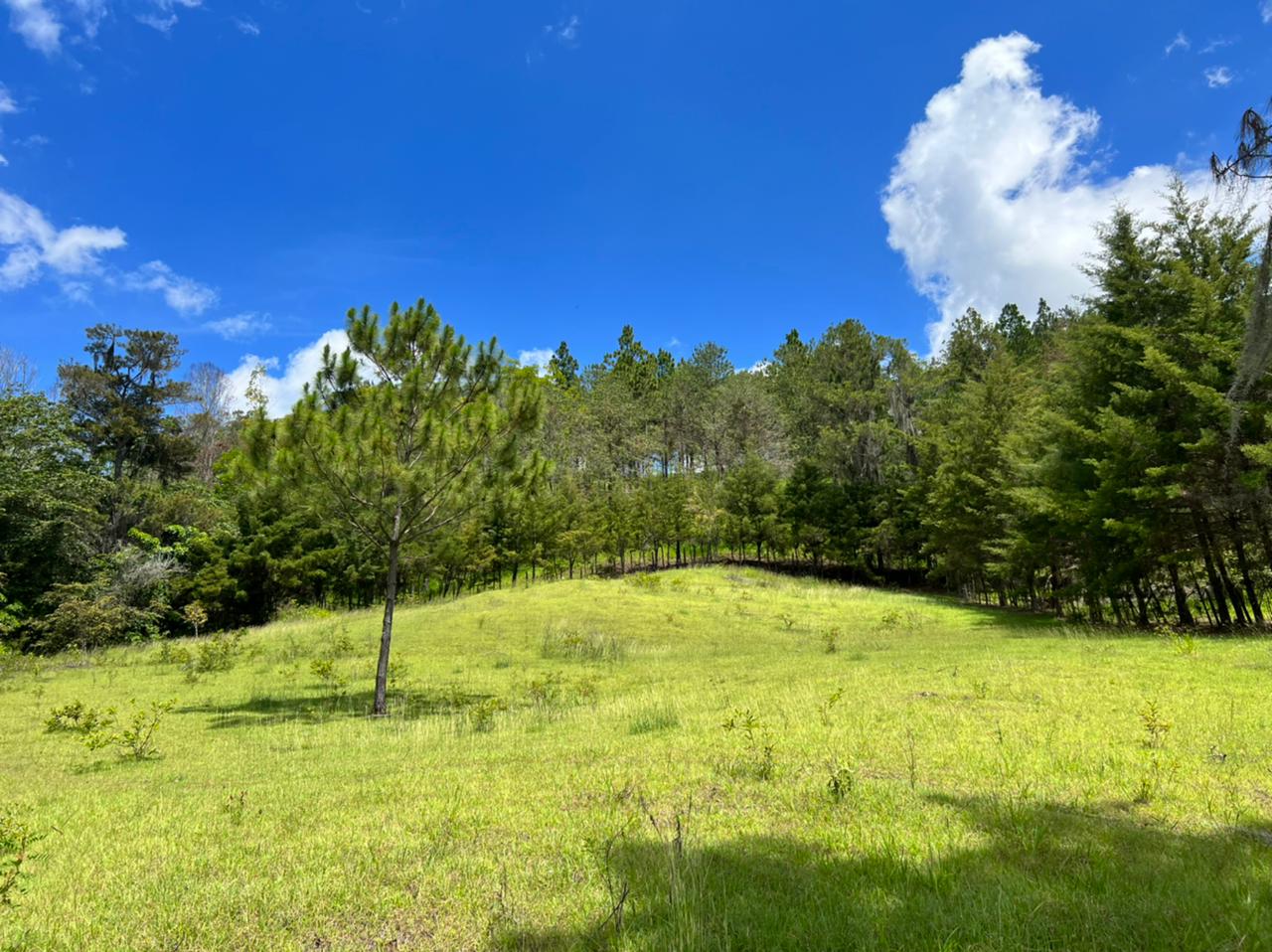 solares y terrenos - Vendo en Constanza varios terrenos 3
