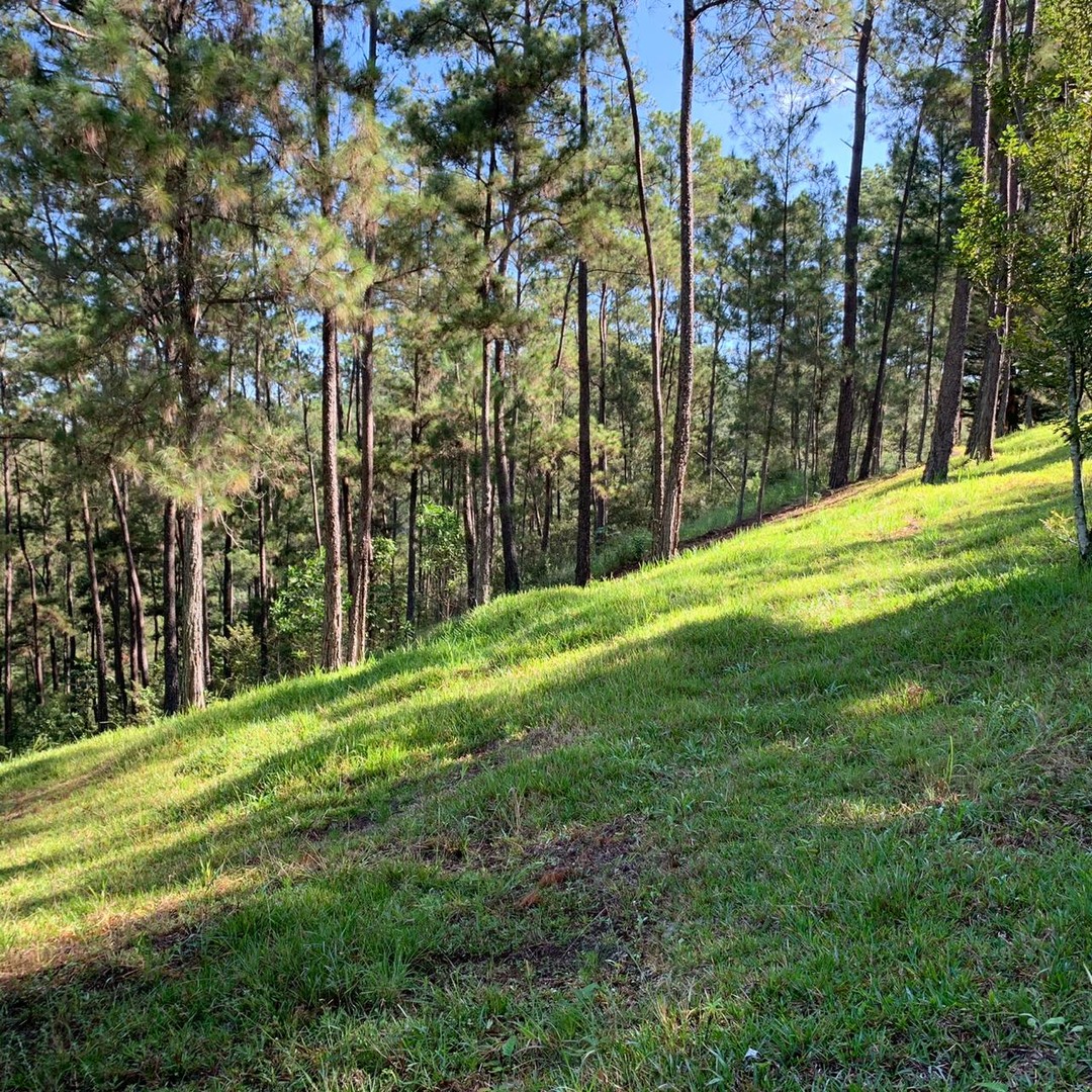 solares y terrenos - Terreno Disponible en Monte Bonito, Jarabacoa  6
