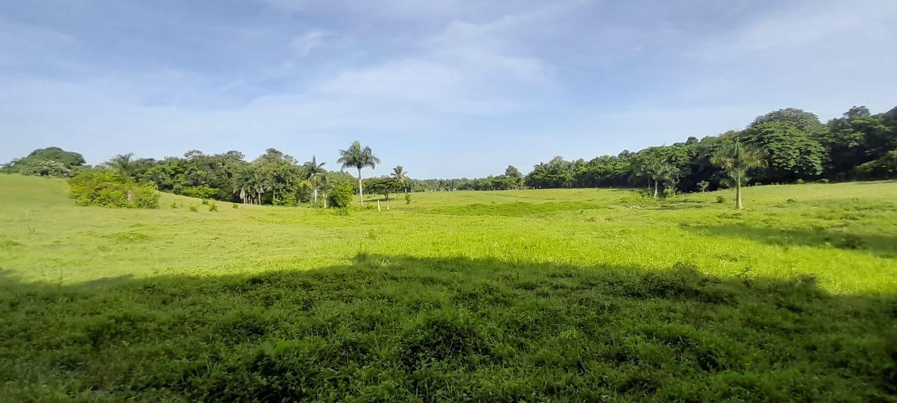 solares y terrenos - Vendo terrenos en Carretera la Isabela 0