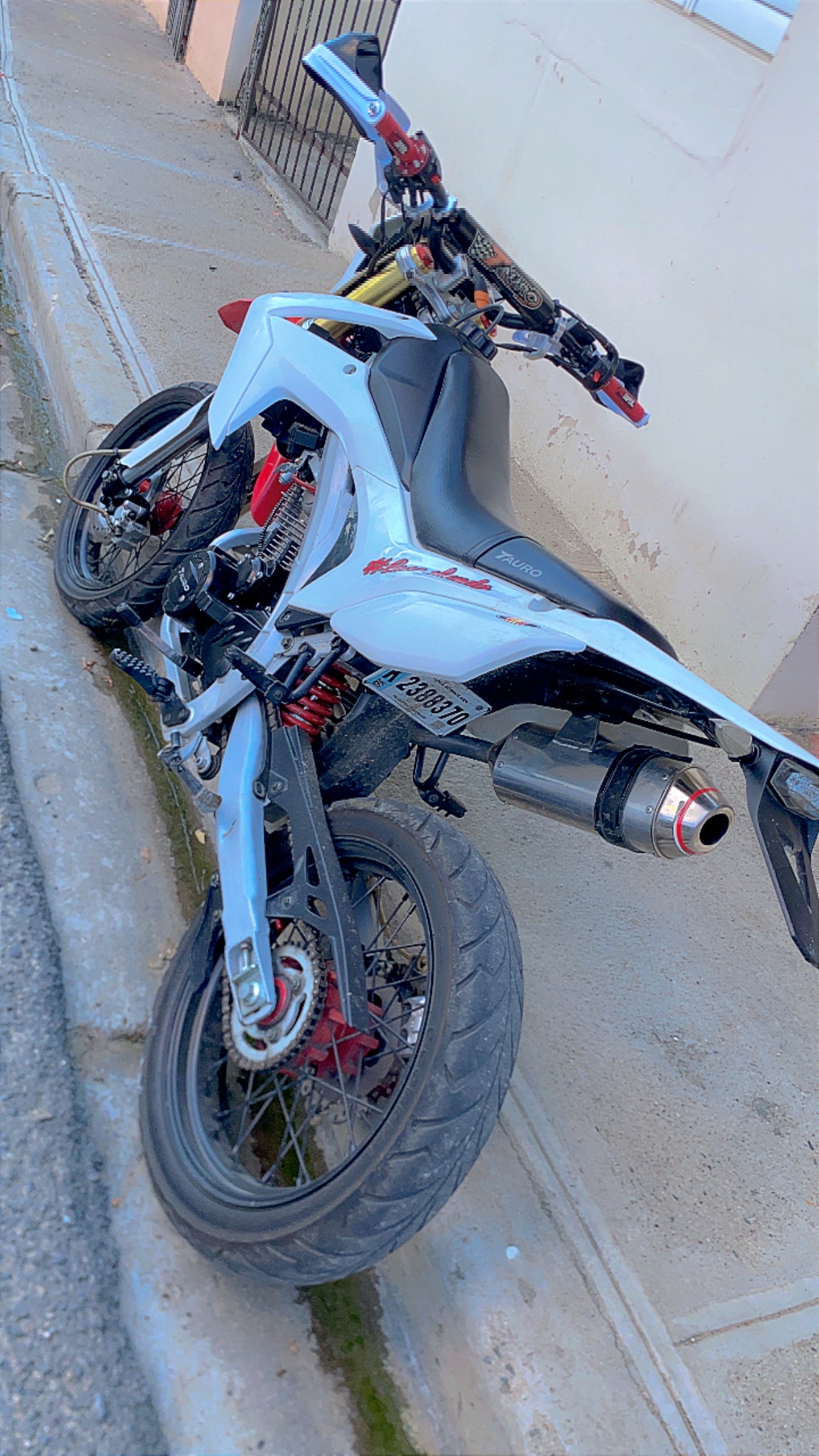 motores y pasolas - Tauro CRX 250  2