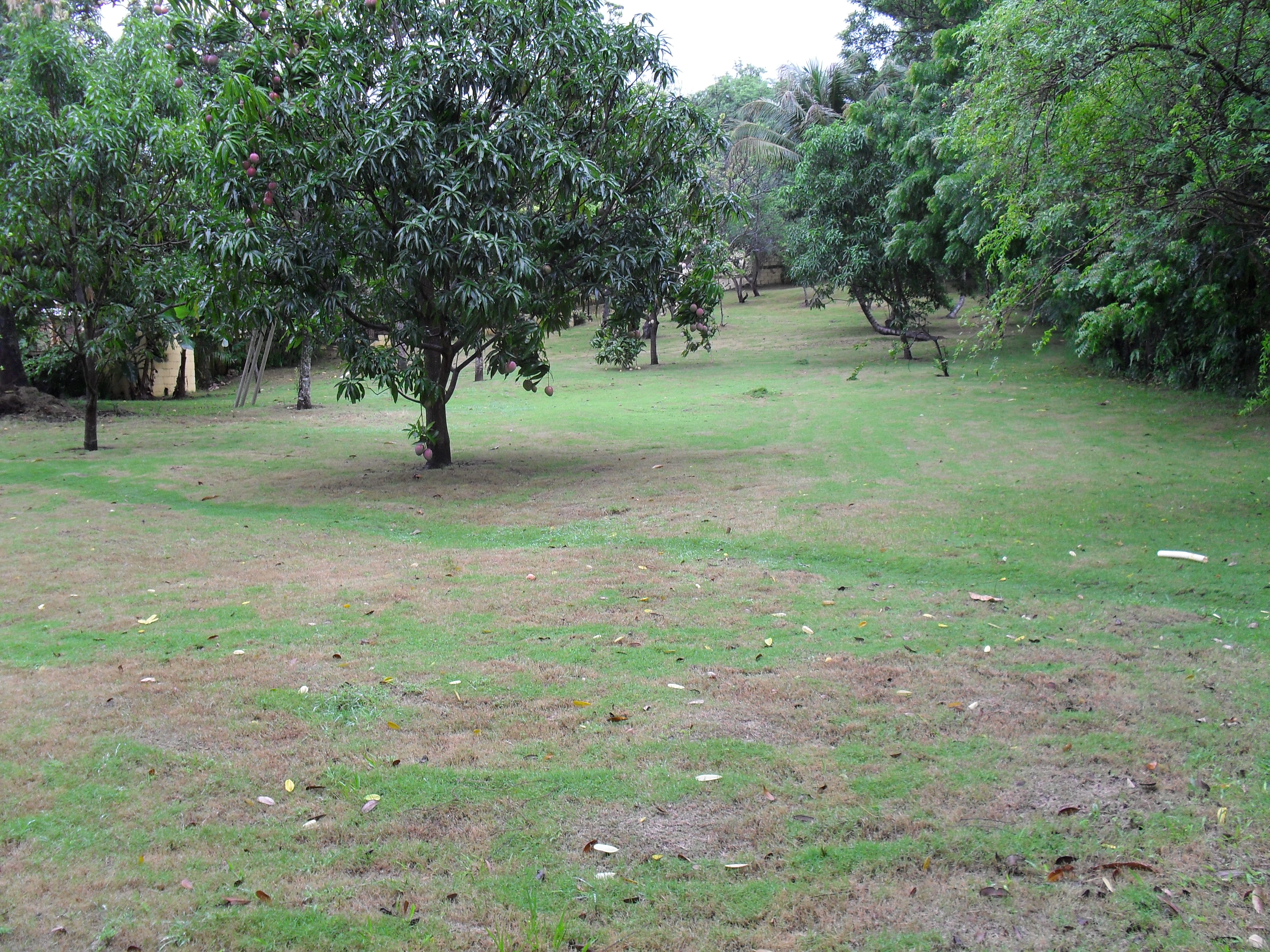 casas vacacionales y villas - FINCA CON CASA VERANEO EN LA COLONIA SAN CRISTOBAL 4