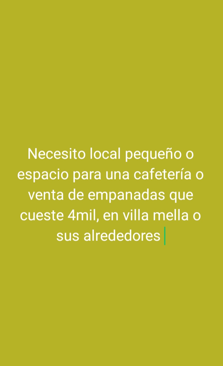 oficinas y locales comerciales - Necesito un local o espacio 