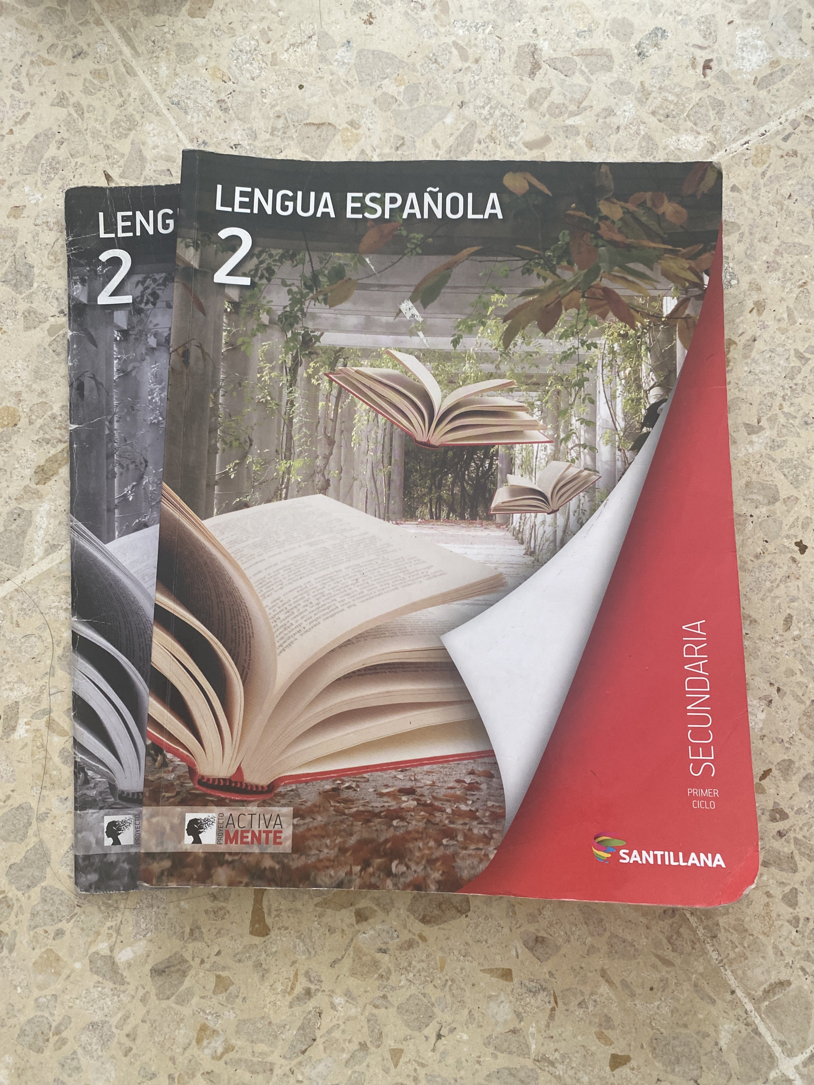 libros y revistas -  Se venden libros de lengua española 2do secundaria 