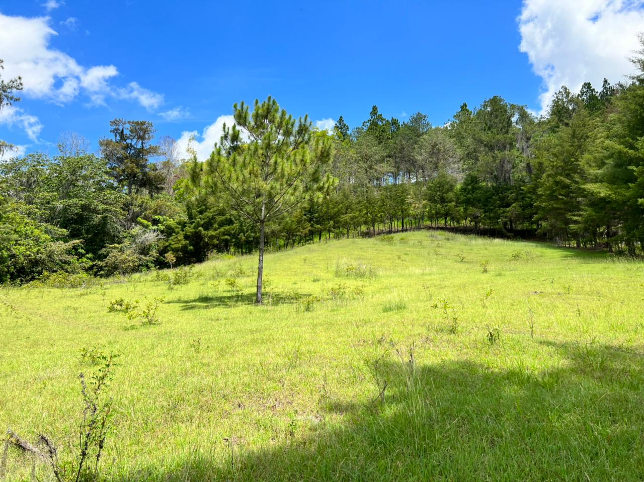 solares y terrenos - Vendo en Constanza varios terrenos 4