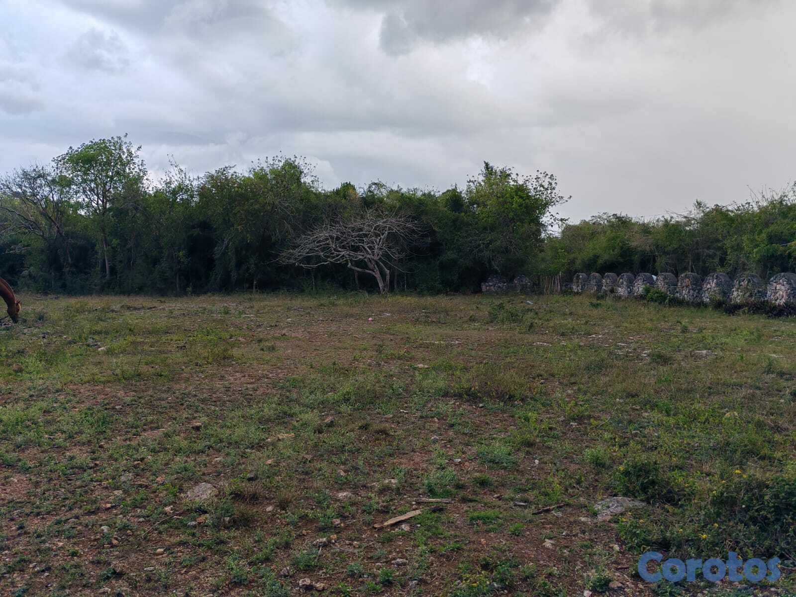 solares y terrenos - 14,000 Mts.2 de Terreno JUSTO AL LADO de GUAVABERR 4