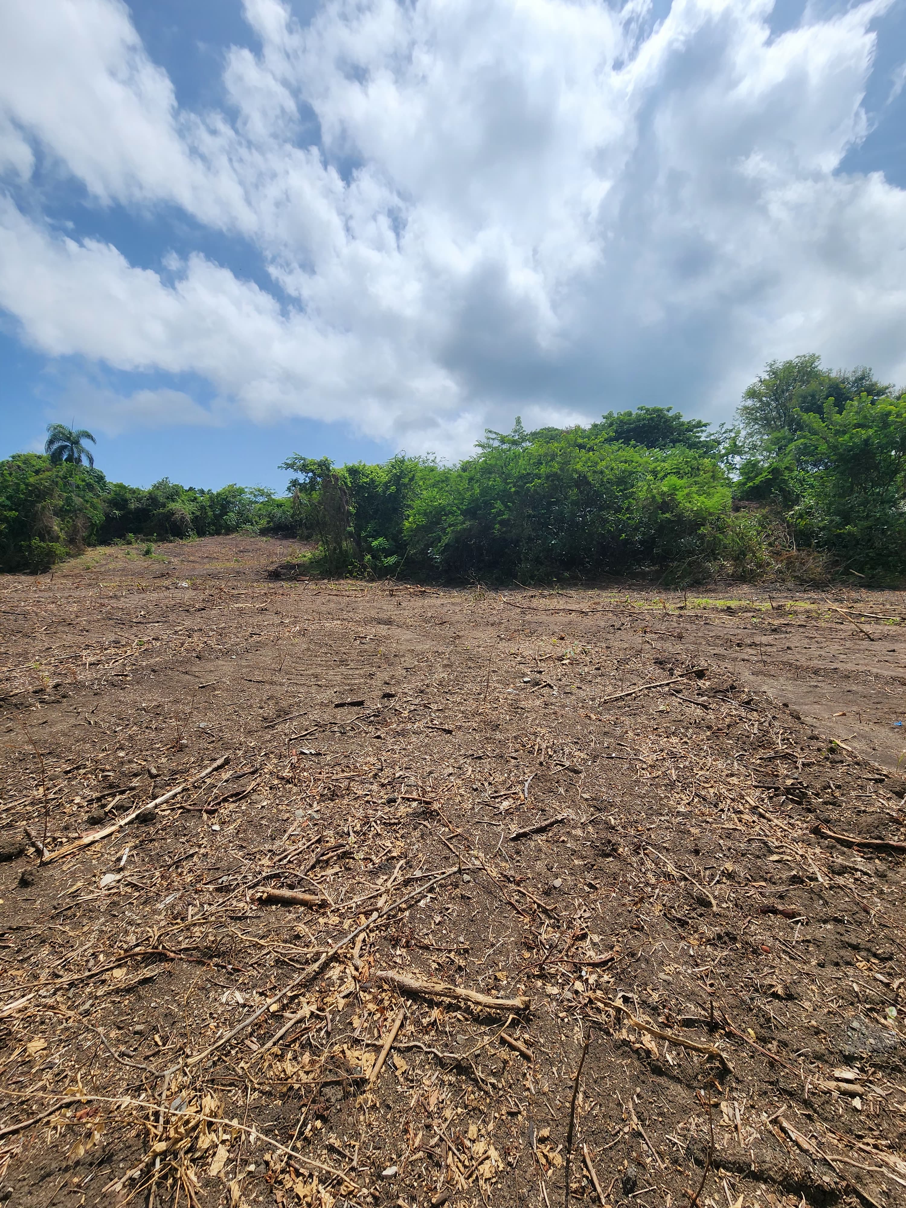 solares y terrenos - 🌿Microfincas en Venta Desde 6 Tareas por $4,000US 9