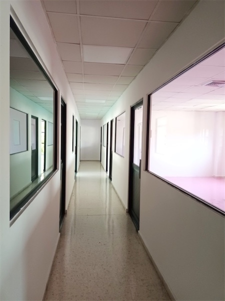 oficinas y locales comerciales - Oficina amplia en piantini 3