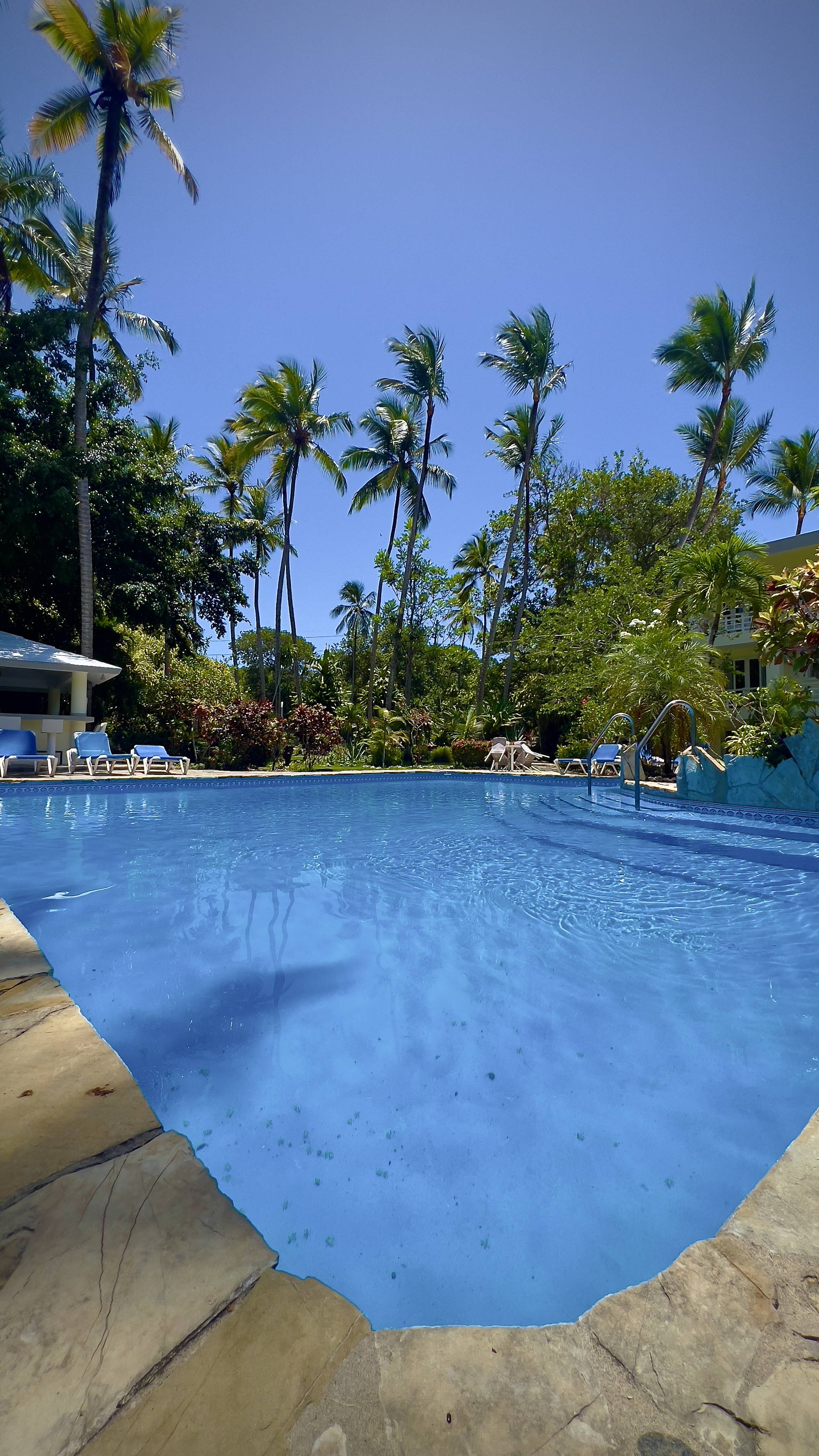apartamentos - Apartamento Amueblado Cabarete, República Dom.  1