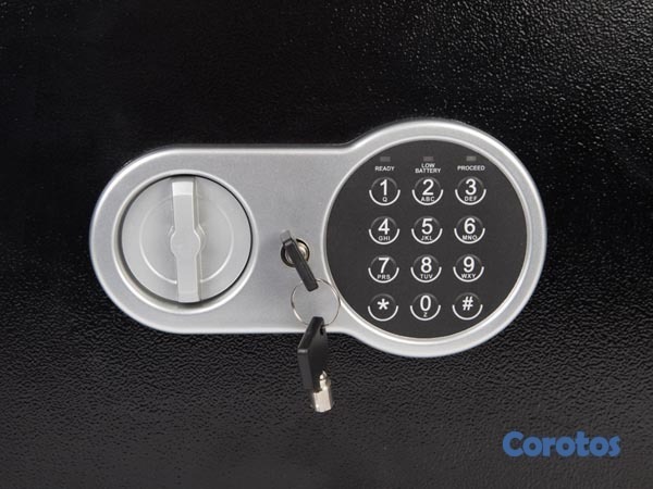 decoración y accesorios - Caja fuerte electrónica de pared SBD-3 1