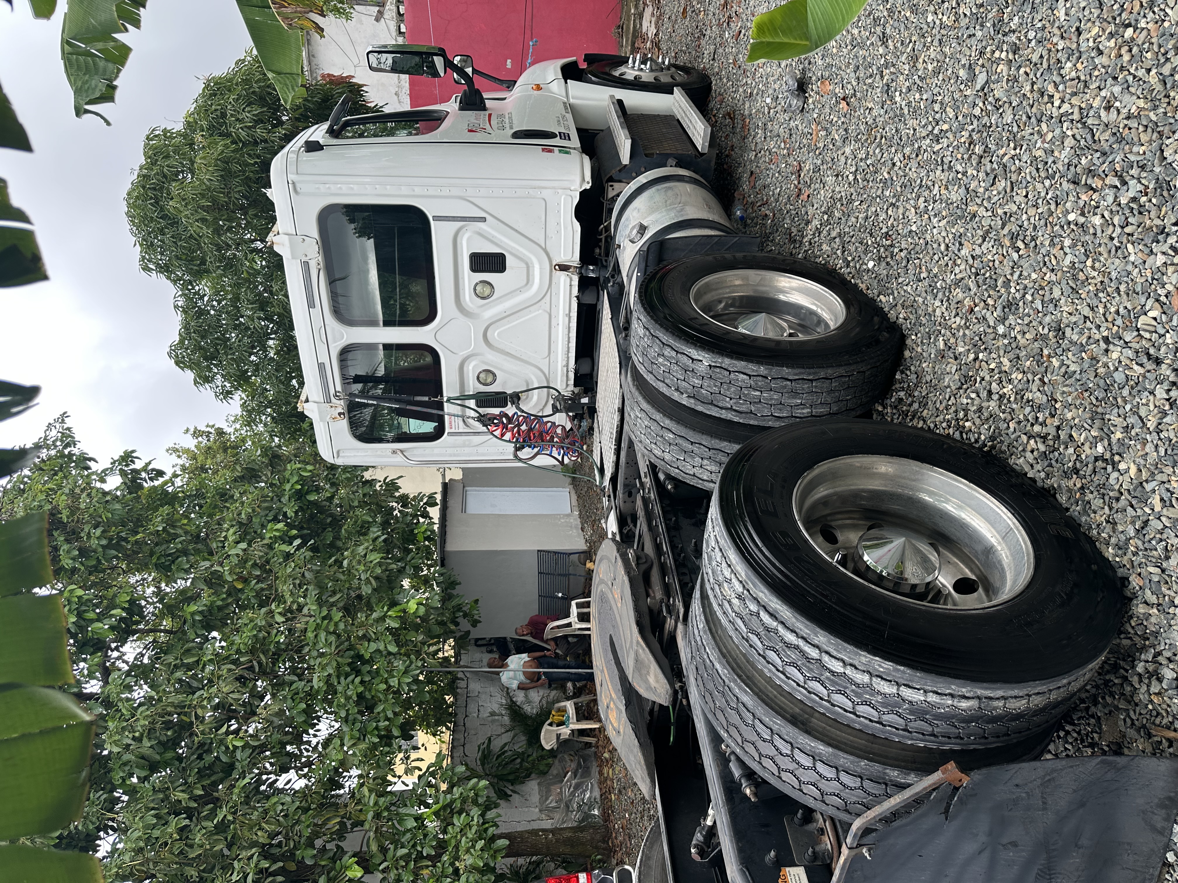 camiones y vehiculos pesados - Freightliner Cascadia 125 2014 3