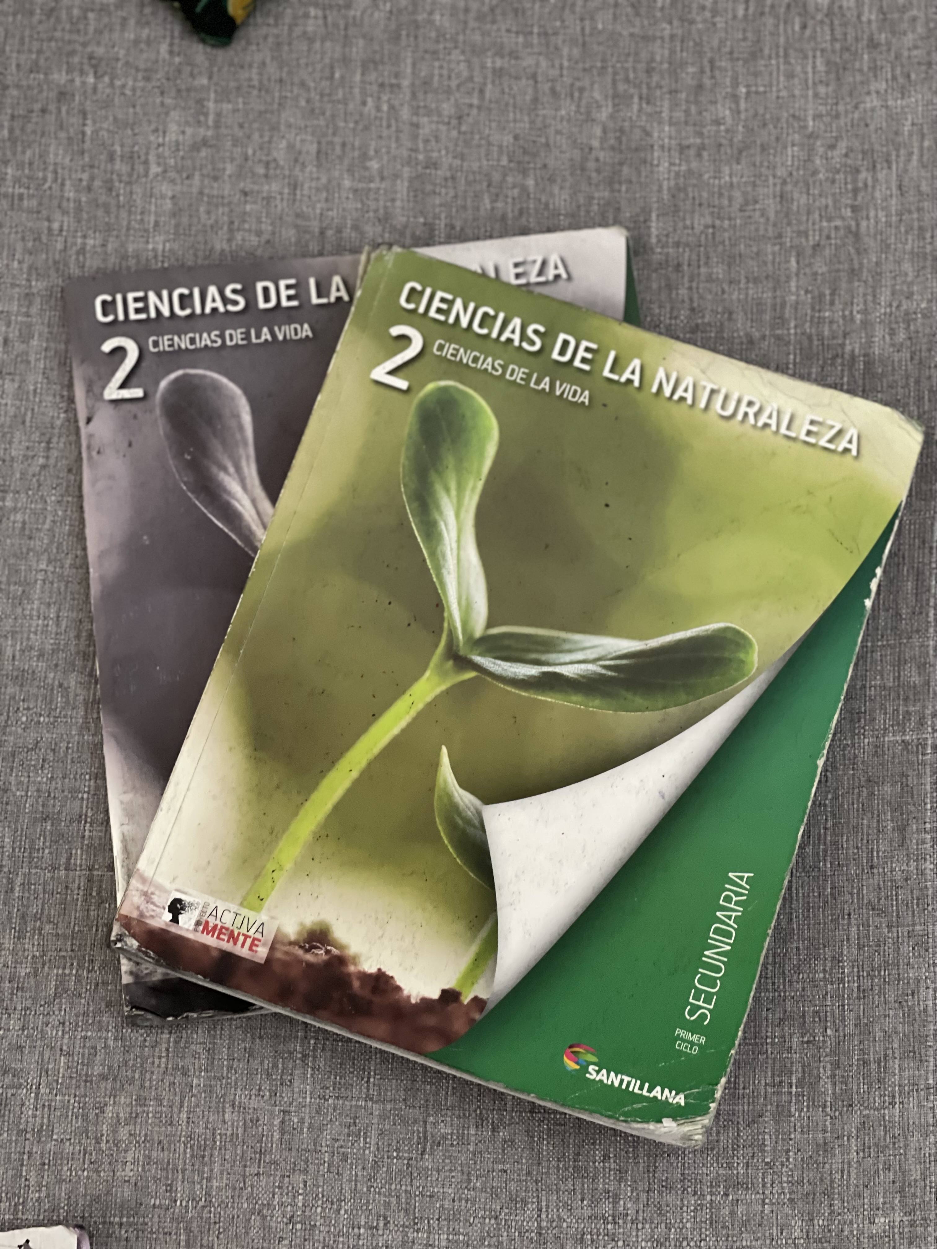 libros y revistas - Libros 2do secundaria Santillana 7