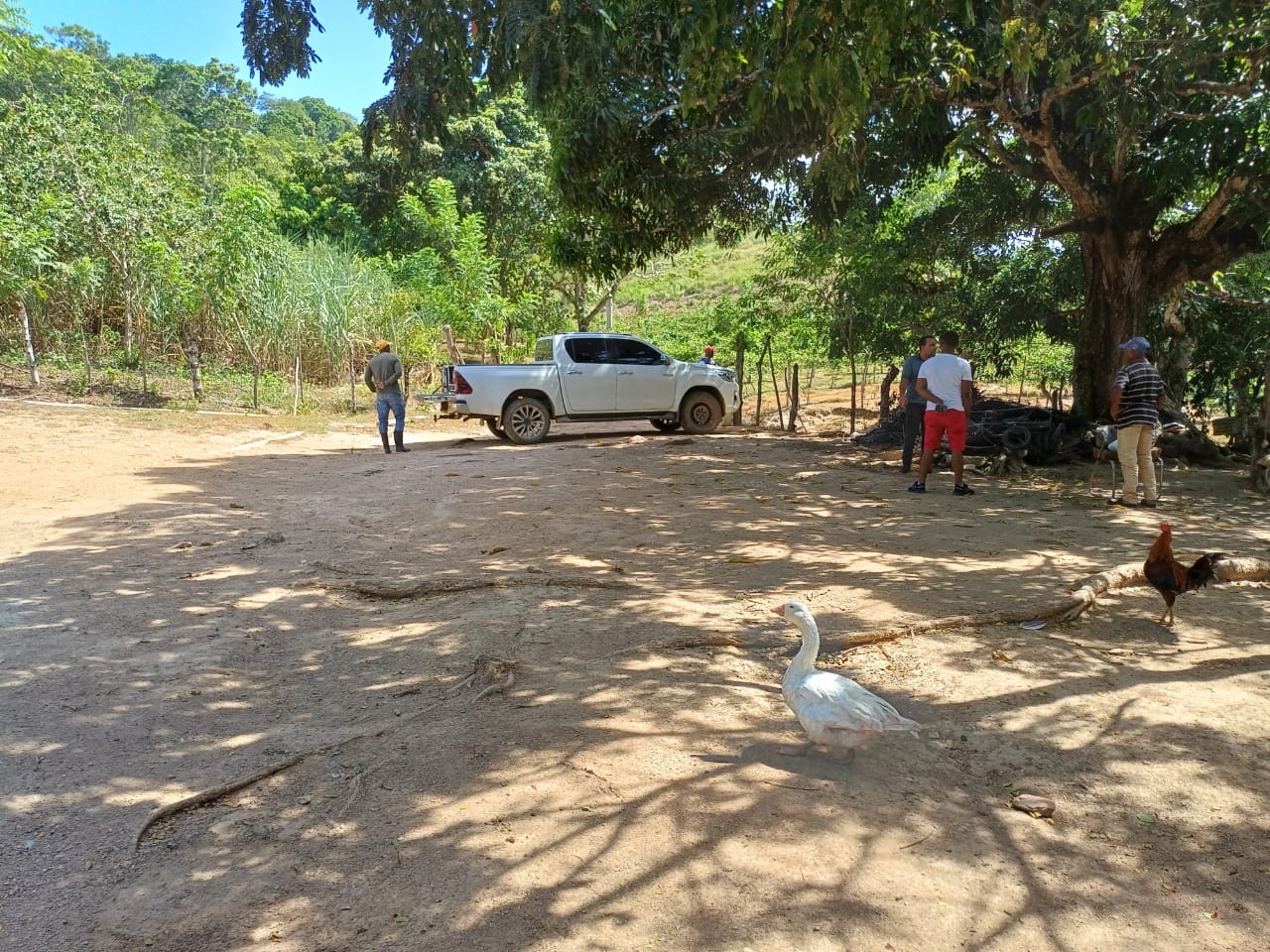 solares y terrenos - Venta de Finca en Gima, Fantino – Provincia Sánchez Ramírez 1