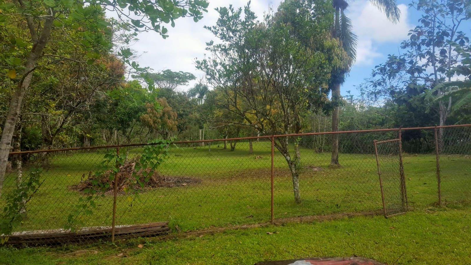 casas vacacionales y villas - Vendo villa campestre en Don Juan Monte Plata  9