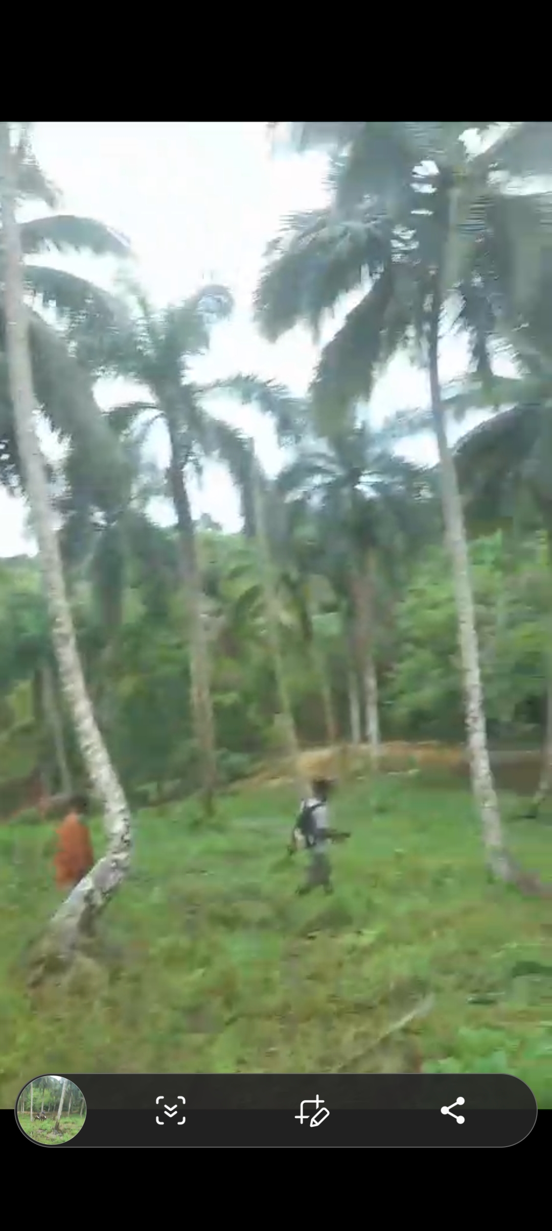 solares y terrenos - Se vende finca de coco 3