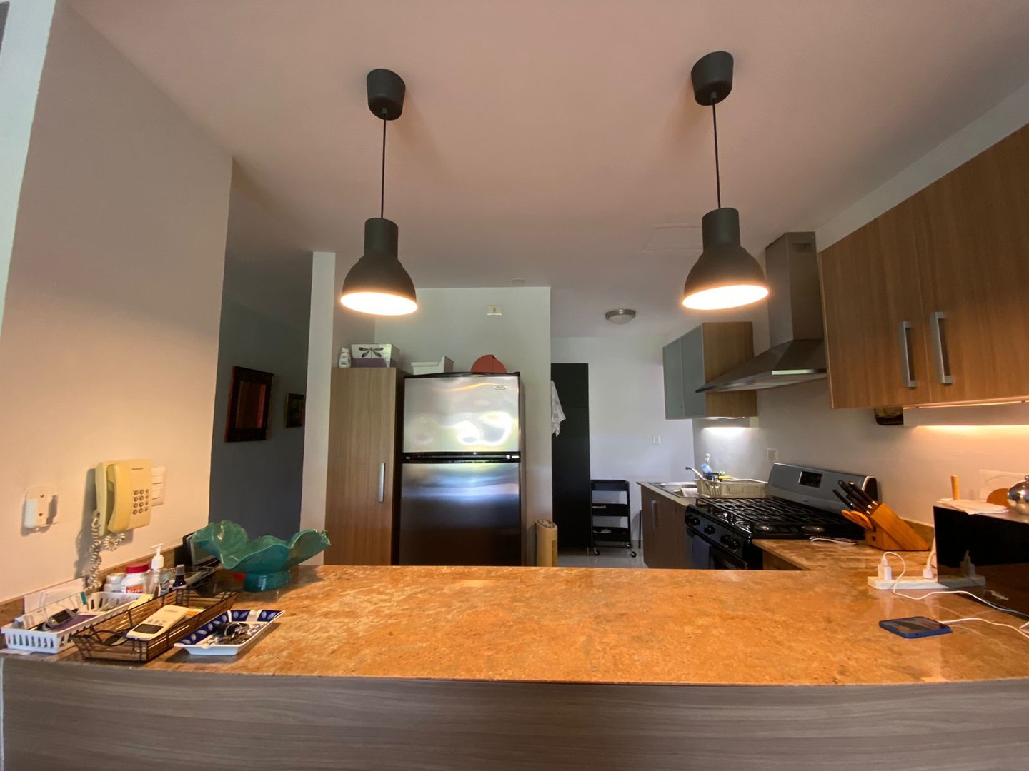apartamentos - ‼Se vende amplio apartamento frente al parque Iberoamericano. 5