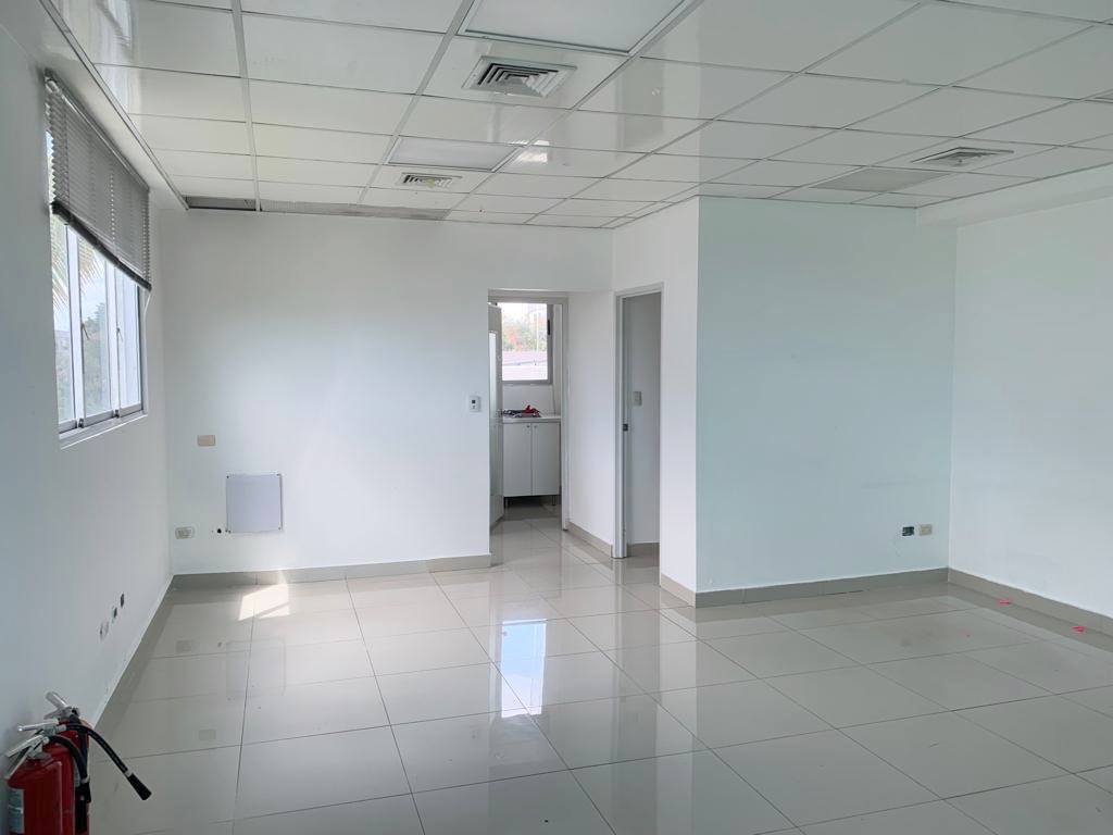 oficinas y locales comerciales - Local corporativo en los Prados 8