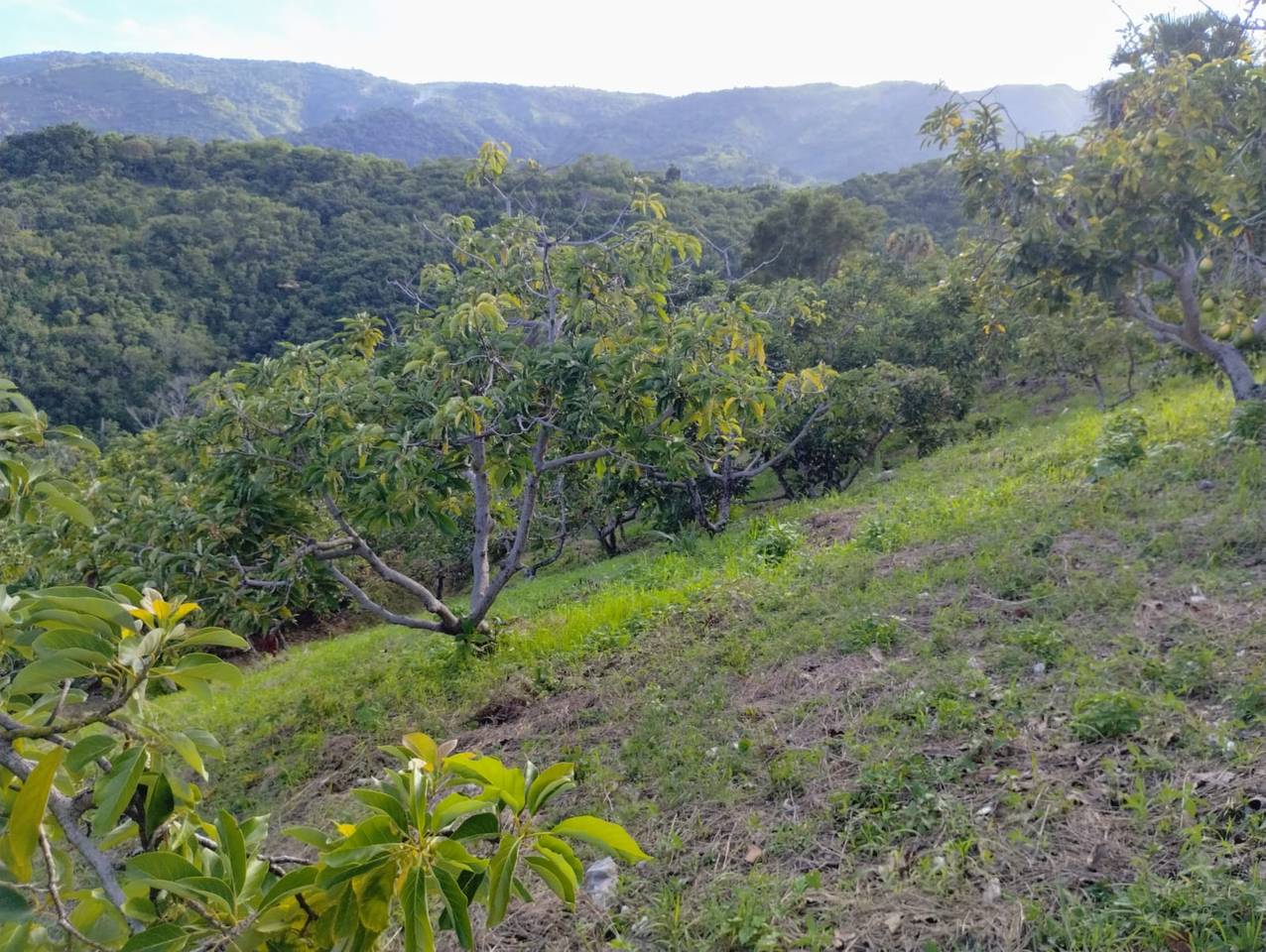 solares y terrenos - RD$5MM al año y subiendo… ¿Te interesa? 2