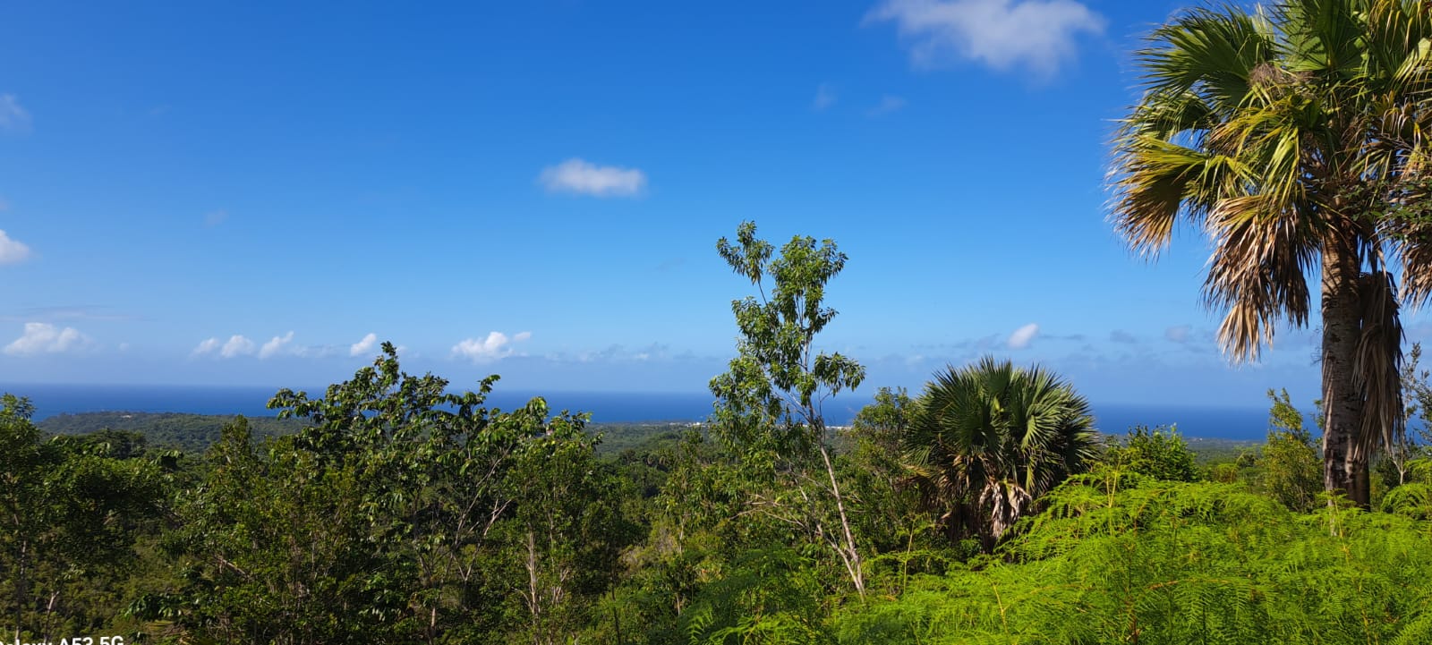 solares y terrenos -  Vive en armonía con la naturaleza en La Reserva 4