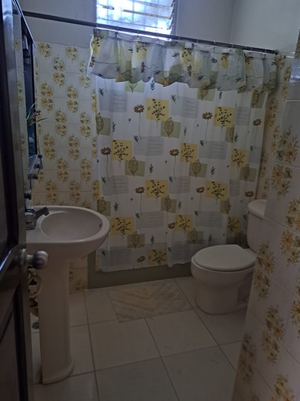 casas - Vendo  casa  comercial en La Vega 5