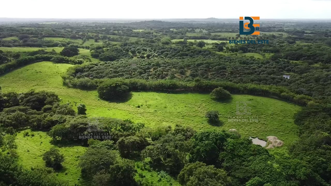 solares y terrenos - VENDO  32 Tareas de Tierra en Hato Mayor 1